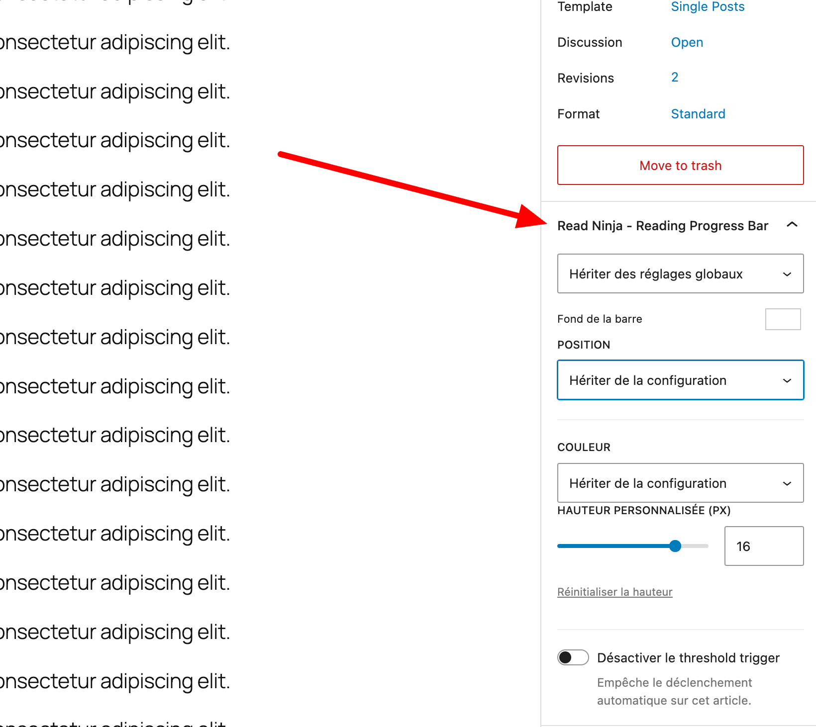 Pannello delle personalizzazioni per articolo ReadNinja nella barra laterale Gutenberg